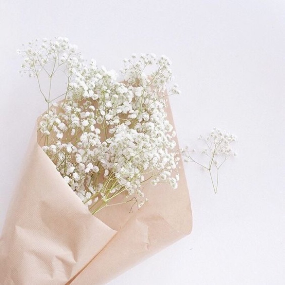 Meet your Posher, Krystal